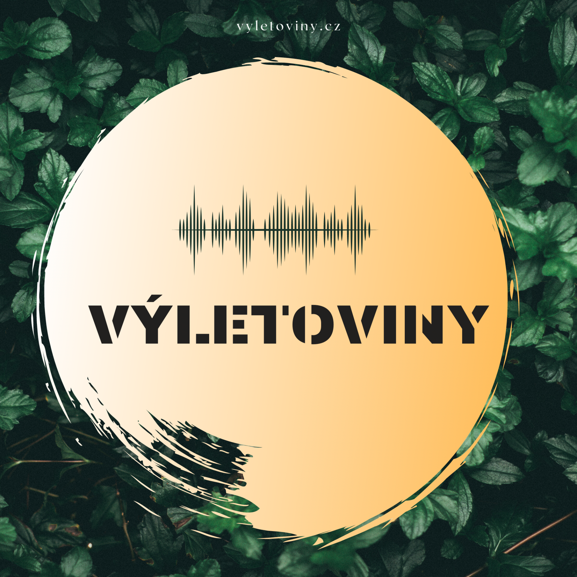 Výletoviny